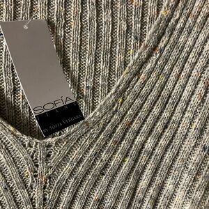 Sophia Vergara Confetti Sweater